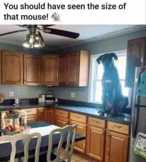 FB_IMG_1665683236878.jpg