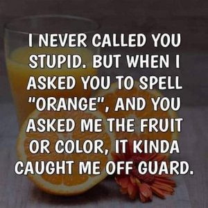 FB_IMG_1665683035232.jpg
