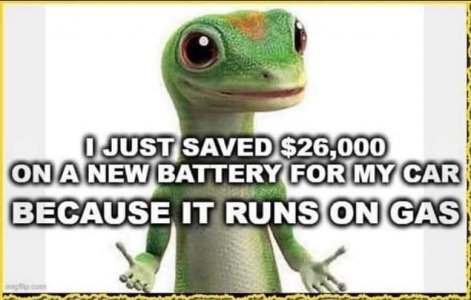 gasser.jpg