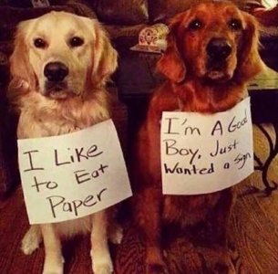 just wanted a sign.jpg