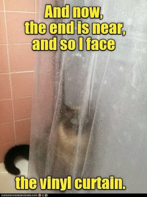 7B5B5922-0CE6-413C-81BF-F42C91512307.jpeg