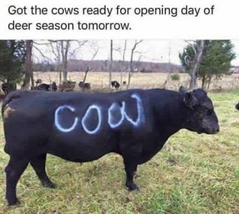 6AC11234-CB14-4BDD-AD9E-0BDBBC34ABDF.jpeg