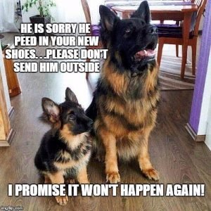 I-promise-it-wont-happen-again-1.jpg