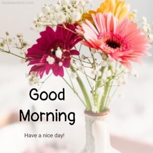 beautiful-flower-pot-good-morning-pic-300x300.jpg