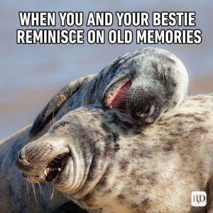 friendship10.jpg