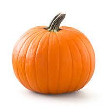 pumpkin.jpeg