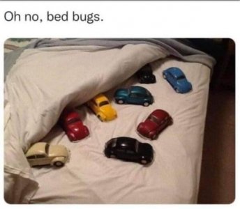 2F980DDA-FCE9-4BFF-A9E2-7C2CE7BB93C0.jpeg