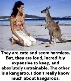 harmless.jpg