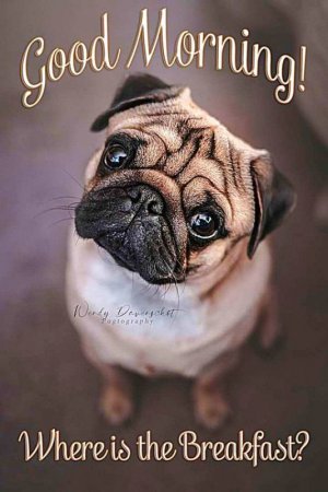 9d15e0ab9e2fb8059bfda2ec841d8419[1].jpg