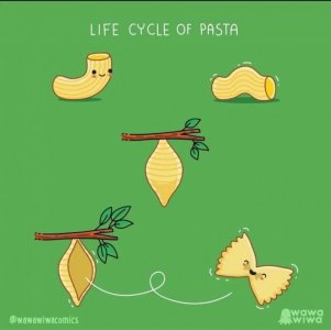 pasta.jpg