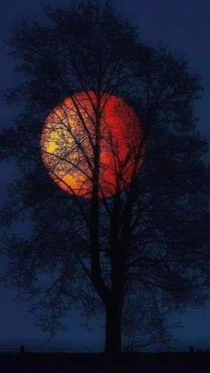 full moon.jpg