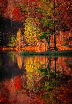 0d248c5e5851cc2056cfa7798c52c669[1].jpg