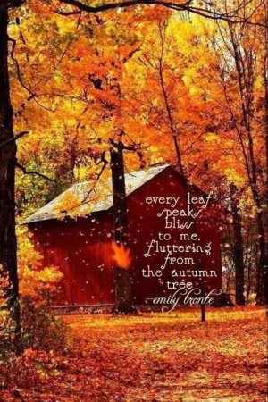 be527216e84d01d1b07a2e33d2a5b297[1].jpg