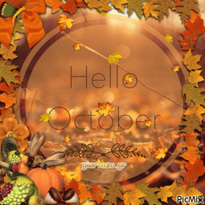 1de2d28b6541a4fbd2f0b70694a82233[1].gif