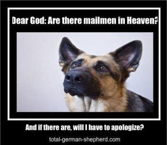 mailmen.jpg