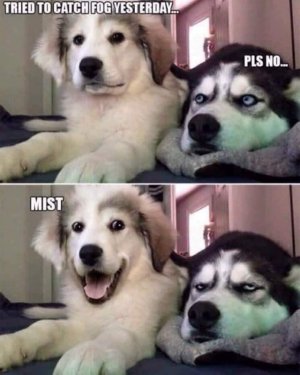 missed.jpg