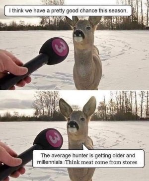 E3385C97-1A24-4C02-8E1D-1A4896F069C9.jpeg