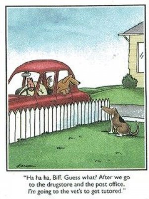 farside.jpg