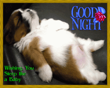 95770595-786E-45F5-94A7-2DFFAE9AEC0B.gif