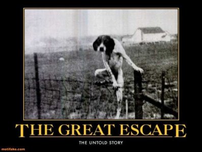 the-great-escape-bestfriend-myass-he-s-a-nazi-demotivational-posters-1332564475.jpg