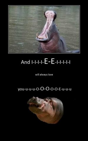 whitney-hippo-may-have-lost.jpg