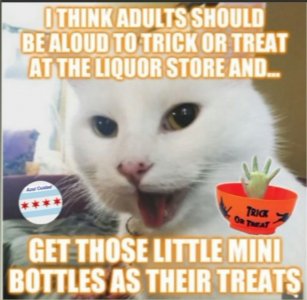 halloweenie.jpg