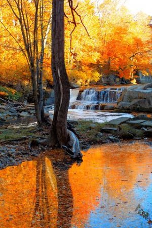 waterfall-3722911__480.jpg