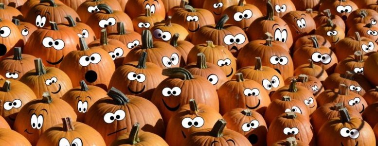halloween-2770084__480.jpg