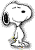 .gif