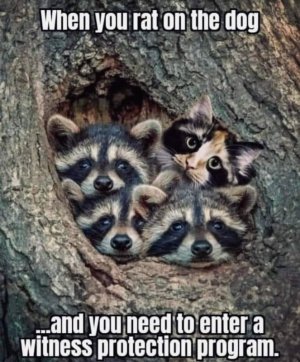 FB_IMG_1666134421236.jpg