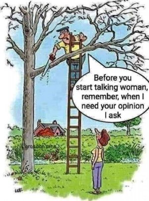 FB_IMG_1666134343445.jpg