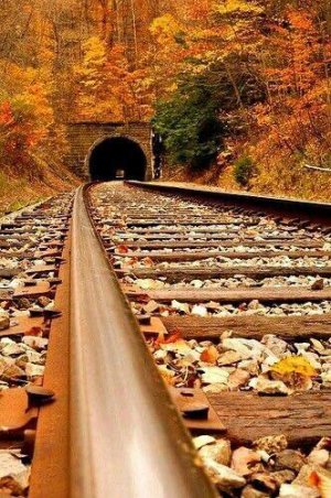 tracks.jpg