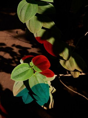Tumblr_l_120469730566947.jpg