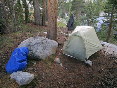 cg8878.jpg