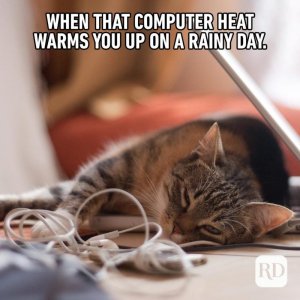 06_Computer-heat-Final-1.jpg