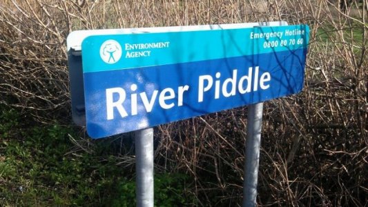 piddle river..jpg