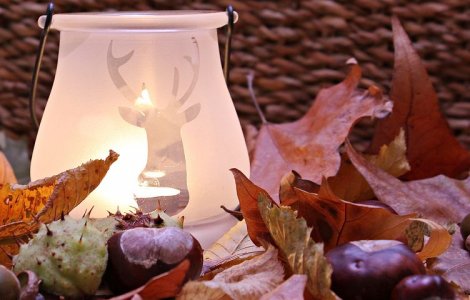 autumn-mood-1716250__480.jpg