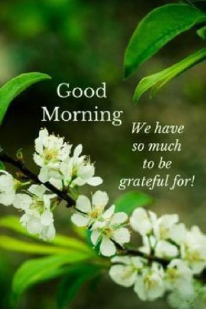 good-morning-quotes-with-images-good-morning-pictures008.jpg