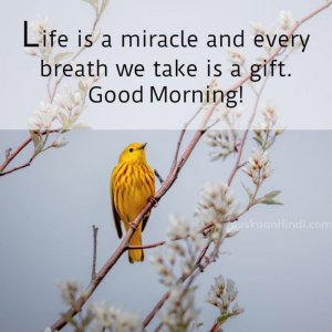 Morning-Life-Quotes-1024x1024.jpg