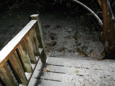 First Snow (Oct. 19, 2022) 007.JPG