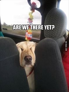 are we there yet.jpg