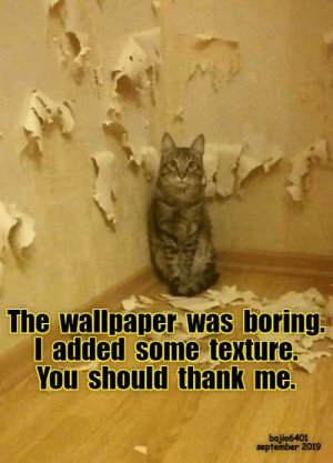 0cd21dd58391d0af405a8edb9853571a[1].jpg