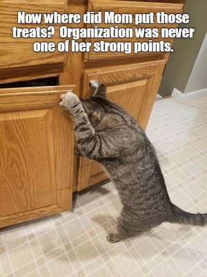 7bb61f5f869b61f88a8c291995775ab4[1].jpg