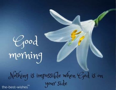 5656829_full-sunday-morning-quotes-flowers-200-beautiful-good-morning-wishes-with-flowers-best...jpg