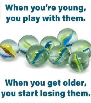 FB_IMG_1666474656575.jpg