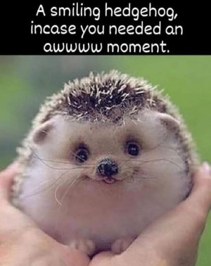 FB_IMG_1666490395899.jpg