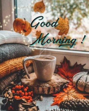 812f5e12fde54a583d3ff73b7897e7b3[1].jpg