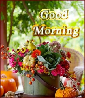 Pumpkins And Flowers Autumn Morning.jpeg
