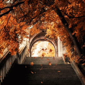 Tumblr_l_54238457601628.gif