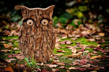 owl-3731244__480.jpg